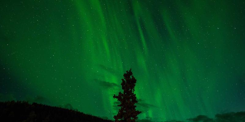 CW38810:工具、信息与导航的三角协同,如何重塑现代决策效率