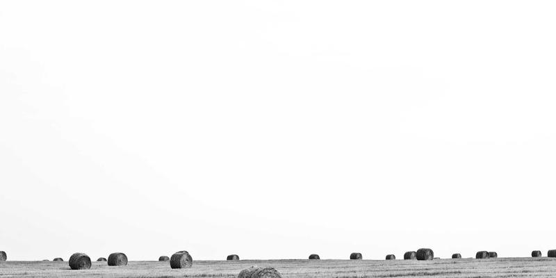 CW38828资源全解析：从核心信息到高效应用指南