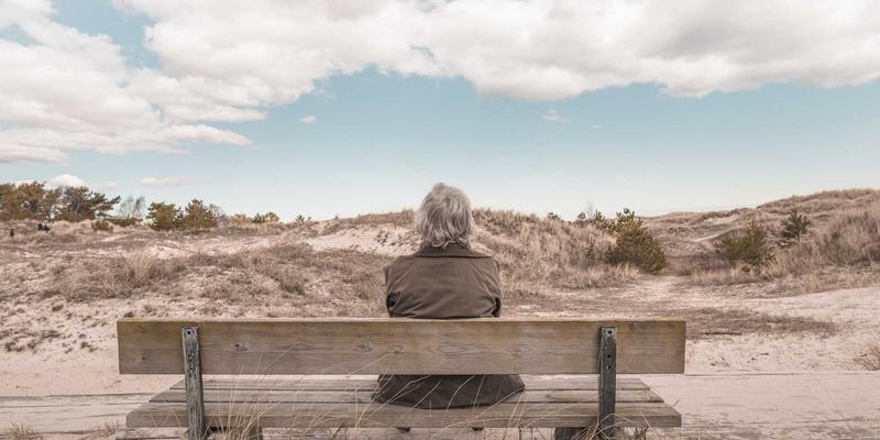 CW38840：构建高效数字生态的综合导航资源解析