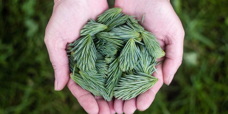 CW388多核架构深度导航：如何高效协同处理音频、蓝牙与传感器数据