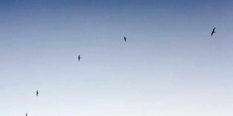 CW388如何通过硬件加速高效整合资源，实现AI语音唤醒与命令词识别