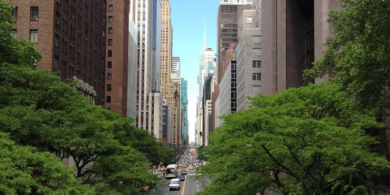 CW388完全教程：链接管理与资源整合的综合指南