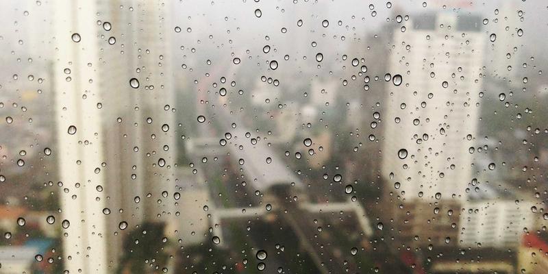 CW388导航工具深度解析:为什么它成为行业效率提升的首选方案?