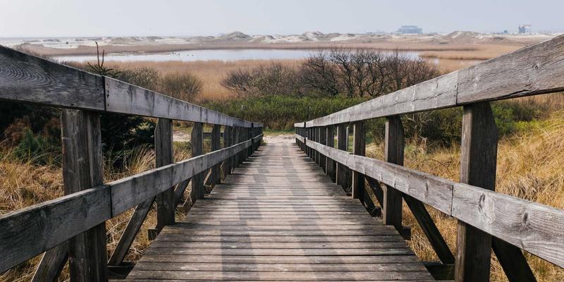 CW388开发导航：内存优化关键技巧，释放RAM/ROM资源提升性能