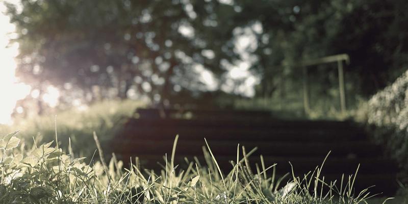 CW388芯片如何通过麦克风阵列算法与远场语音唤醒技术集成，实现智能设备的精准交互