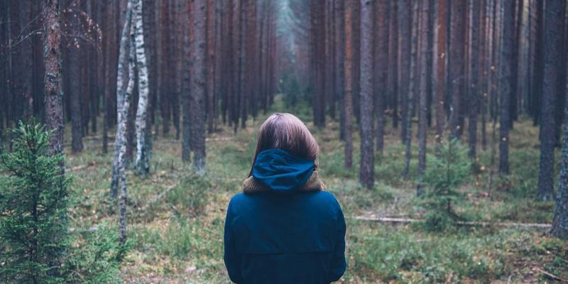 深入剖析CW388时钟系统：掌握核心资源与信息，选对低抖动时钟源的工具指南