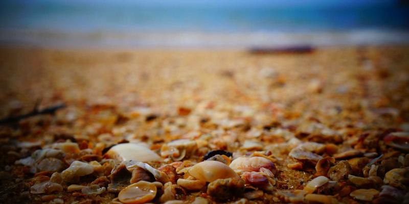 综合信息与工具赋能：基于CW388芯片的ANC耳机开发全攻略